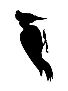 Woodpecker Stencil 3