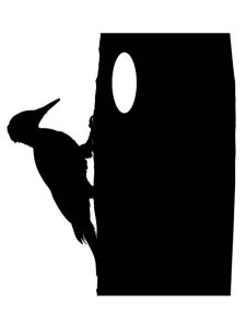 Woodpecker Stencil 4