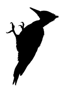 Woodpecker Stencil 5