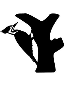 Woodpecker Stencil 6
