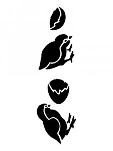 Baby Chcik Stencils 6