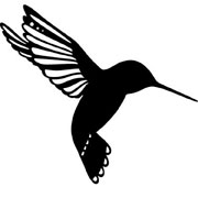 Hummingbird stencils