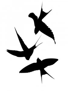 Animals Stencils 22