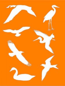 Animals Stencils 25