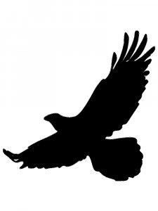 Animals Stencils 26