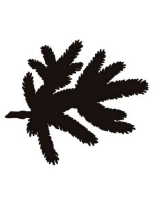 Window Stencils 54