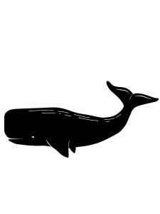 Cachalot Stencils 3