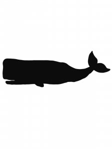 Cachalot Stencils 6