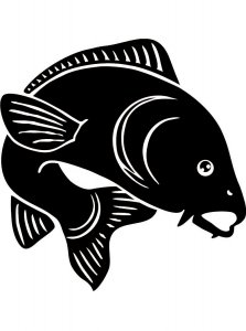 Carp Stencil 2