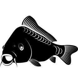 Carp Stencil 8