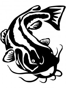 Catfish Stencils 6