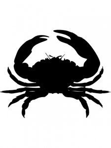 Crab Stencil 5