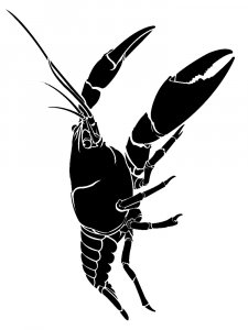 Crawfish Stencil 10