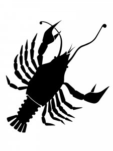 Crawfish Stencil 8