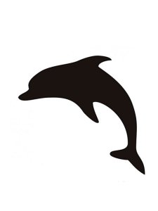Dolphin Stencils 2