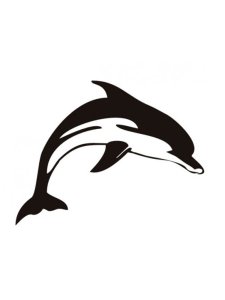 Dolphin Stencils 5