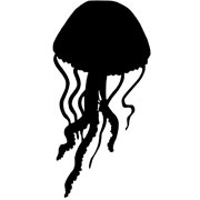Jellyfish stencils