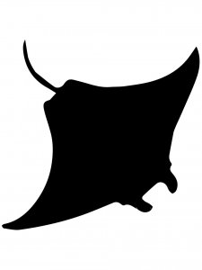 Manta Ray Stencils 1