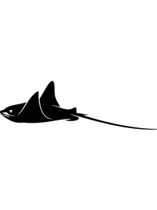 Manta Ray Stencils 7