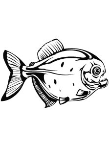Piranhas Stencils 1