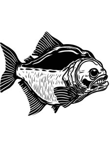 Piranhas Stencils 4