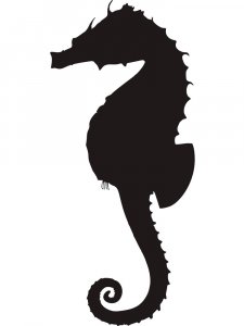 Sea Horse Stencils 5