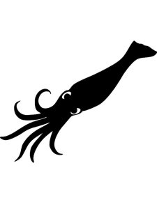 Squid Stencil 6