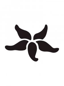 Starfish Stencils 2