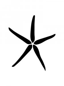 Starfish Stencils 5