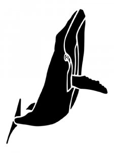 Whale Stencil 11