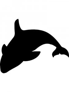 Whale Stencil 2