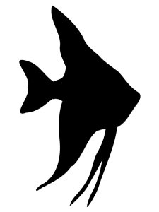 Fish Stencils 11