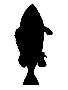 Fish Stencils 14