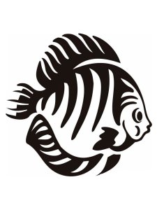 Fish Stencils 5