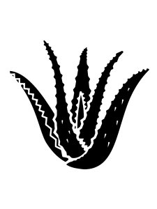 Aloe Stencils 4