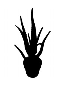 Aloe Stencils 5