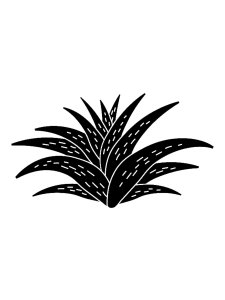 Aloe Stencils 6