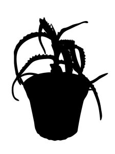 Aloe Stencils 9