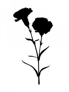 Carnation Stencils 12