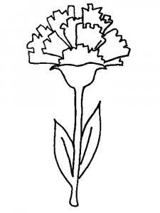 Carnation Stencils 4