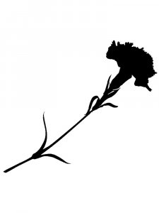 Carnation Stencils 6