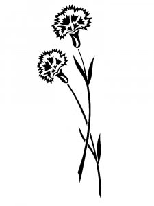 Carnation Stencils 7