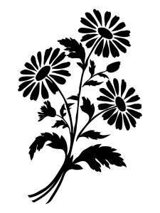 Chamomile Stencils 10
