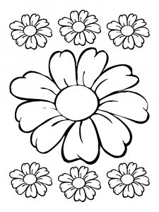 Chamomile Stencils 3
