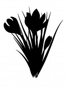 Crocus Stencils 1