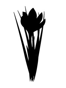 Crocus Stencils 3