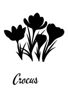 Crocus Stencils 4