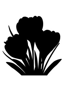 Crocus Stencils 5