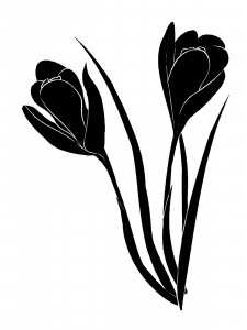 Crocus Stencils 6