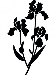 Iris Stencils 13